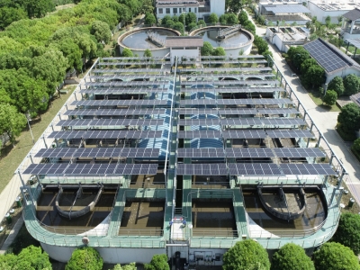 消泡剂：化解泡沫难题，助力工业高质量发展